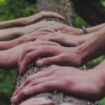 a group of people holding hands on top of a tree