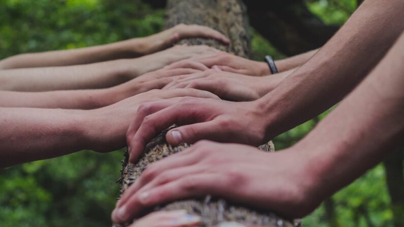 a group of people holding hands on top of a tree