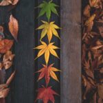 green and brown leaves on black textile