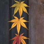 green and brown leaves on black textile